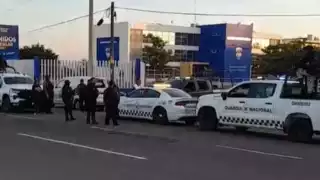 Hallan cinco cuerpos en carretera de Culiacán, frente a Facultad de Agronomía de la UAS