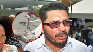 Pulpo en Campeche es seguro para consumo pese a mortandad en Yucatán: Inpesca