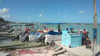 Altas temperaturas provocan muerte de mojarras en Sabancuy