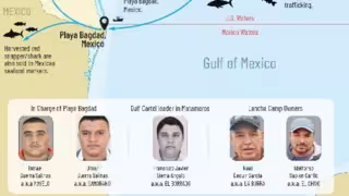 EU sanciona al Cártel del Golfo por pesca ilegal y tráfico de drogas en el Golfo de México