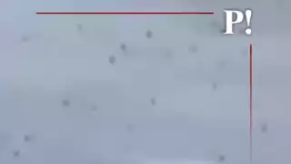 Captan a miles de zopilotes volando sobre las zonas afectadas de Poza Rica