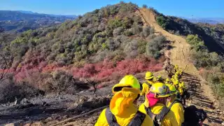 Bomberos mexicanos ‘Serpiente Amarilla’ ya combaten incendios en Los Ángeles
