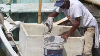 Cae el precio del pulpo gareteado en Champotón: pescadores apenas logran capturas