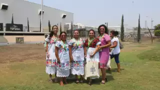 Celebran Encuentro de Mujeres Meliponicultoras de Yucatán por el Día Mundial de las Abejas
