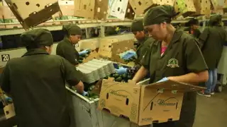 México logra superávit récord en comercio con Estados Unidos y consolida liderazgo como socio comercial