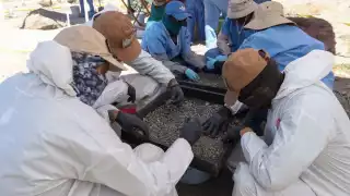 Sheinbaum presenta avances de la Comisión Nacional de Búsqueda: "Nuestro deber es encontrar a los desaparecidos"