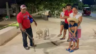En riesgo menores en Hopelchén: Hallan otra serpiente en parque infantil recién inaugurado