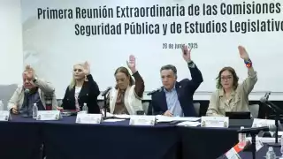 Senado aprueba Ley de Inteligencia: Seguridad podrá acceder a datos privados y públicos