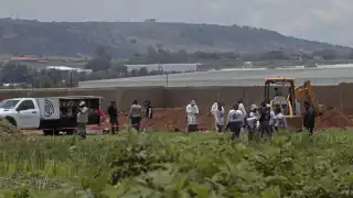 Hallan 54 cuerpos en fosa clandestina de Zapopan: autoridades continúan trabajos de identificación