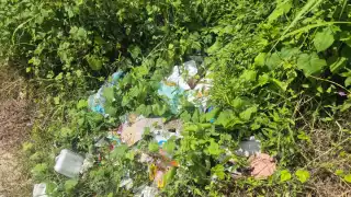 Lote baldío se convierte en basurero en Champotón: vecinos exigen limpieza