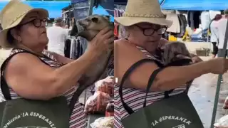 Mamá Geny, ex participante de MasterChef México, sorprende en tianguis de Mérida junto a su zarigüeya