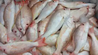 Productos de la canasta bàsica suben de precio en Bacalar