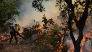 México se calienta más rápido que el mundo: alerta científica de la UNAM sobre el cambio climático
