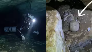  “Cada buzo tiene que entrar con cuatro tanques”: Revelan la ruta hacia los fósiles de un perezoso gigante en un cenote de Yucatán   