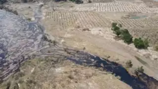 Pemex recupera más de 345 mil litros de crudo tras fuga en Veracruz: supervisa Víctor Rodríguez Padilla las labores de limpieza