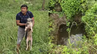 Reconocen a habitante de Pisté, Yucatán, por rescatar a un perro de un sumidero