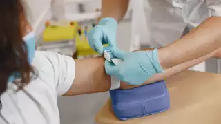 Atención médica gratuita y control del dengue llegan hoy, 8 de julio, a colonias de Campeche