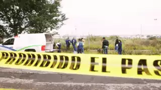 “No habrá impunidad”: Sheinbaum exige justicia por asesinato de Irma Hernández, maestra y taxista en Veracruz