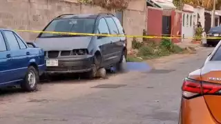Hombre fallece en Mérida tras ataque de abejas africanas mientras cortaba maleza