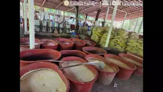 Aseguran más de 6 toneladas de metanfetamina en operativos en Chiapas y Guerrero