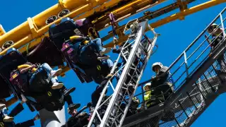 Six Flags responde a polémica de tala árboles en Ciudad de México