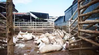 Salud despliega más de mil 100 brigadistas en estados afectados por lluvias; refuerzan acciones contra dengue y enfermedades