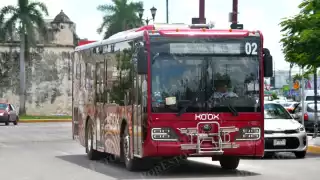 Topes, vados y árboles: campechanos esperan mejoras antes del arranque de Ko’ox