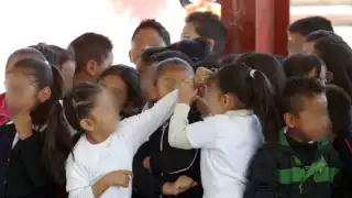  Un "bulleador" también puede ser una víctima, especialistas de Campeche piden enfoque integral 