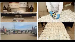 Cateos en Tamaulipas: Decomisan 22 mil dosis de cocaína, metanfetaminas y animales exóticos