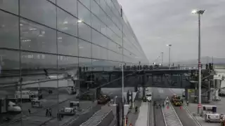 Fuerzas federales decomisan droga y desmantelan tomas clandestinas en operativos en AIFA, Baja California y otras entidades