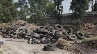 Ciudadanos denuncian el aumento de tiraderos de neumáticos viejos en Chetumal, ya que representan riesgos sanitarios