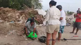 Capturan a cocodrilo que apareció por sorpresa en las calles de Progreso: VIDEO