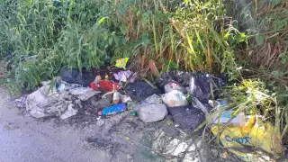 Arrojan animales muertos en baldíos de Sabancuy; exigen castigo