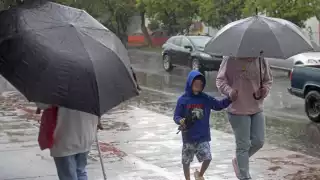 Tormenta Tropical “Barry” impacta Veracruz: fuertes lluvias y vientos en varios estados