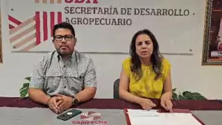 OIRS asume certificación ganadera en Campeche ante emergencia zoosanitaria