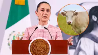 Sheinbaum confirma reapertura de frontera con EE.UU. tras control del gusano barrenador en  México