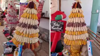  Con elotes, campesinos crean árbol de Navidad en Hopelchén   