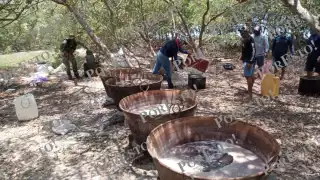 Autoridades enfrentan a pescadores que capturaban pepino de mar en Dzilam de Bravo  