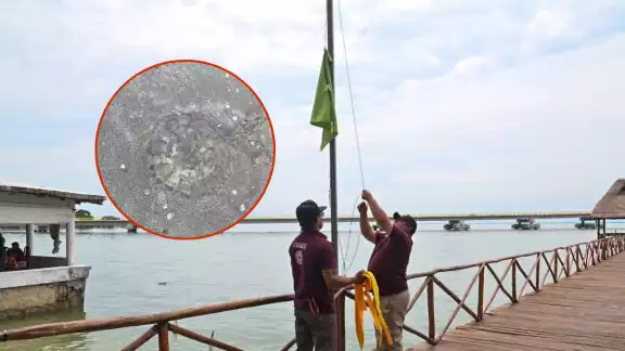 La presencia de “agua mala” llevó a Protección Civil a colocar banderas preventivas en la Playa Inclusiva de la Puntilla, Ciudad del Carmen