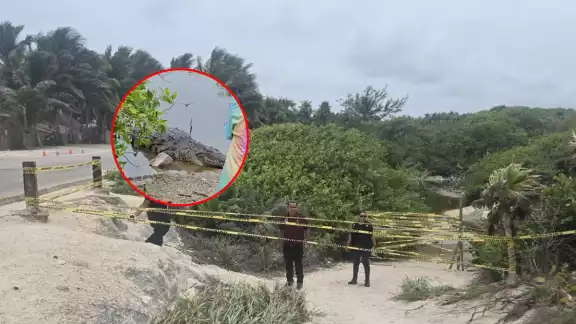 La medida fue tomada tras un incidente con turistas extranjeros que se acercaron peligrosamente a un cocodrilo.