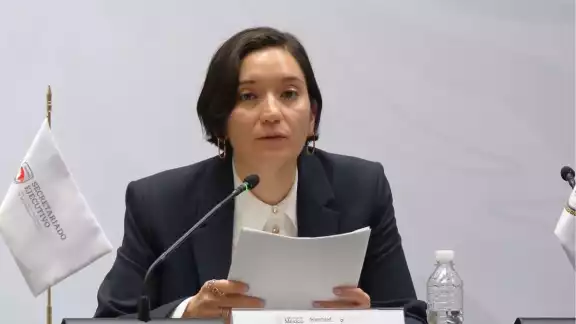 Marcela Figueroa Franco, secretaria ejecutiva del Sistema Nacional de Seguridad Pública Marcela Figueroa Franco, secretaria ejecutiva del Sistema Nacional de Seguridad Pública
