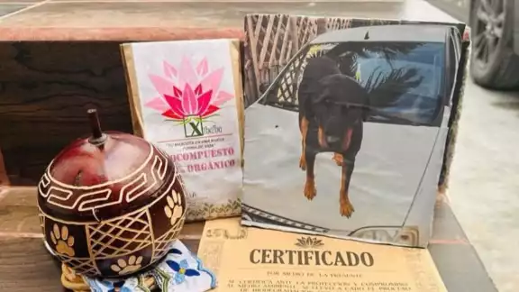 Se acumulan denuncias por casos Xibalbá en la Fiscalía de Chetumal; afectados no quieren que el caso quede impune Se acumulan denuncias por casos Xibalbá en la Fiscalía de Chetumal; afectados no quieren que el caso quede impune