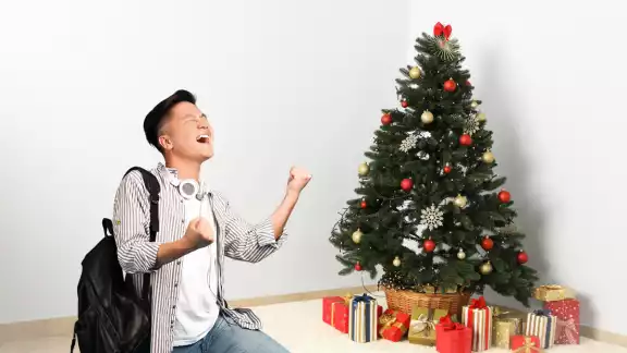 Festividades de Navidad y Año Nuevo
