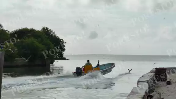 Pescadores ribereños de Ciudad del Carmen mantienen poco optimismo pese al levantamiento de la veda del camarón. Pescadores ribereños de Ciudad del Carmen mantienen poco optimismo pese al levantamiento de la veda del camarón.