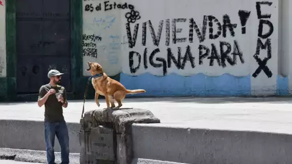 En México, la gentrificación se ha documentado en colonias como Roma, Condesa y Juárez de la CDMX. En México, la gentrificación se ha documentado en colonias como Roma, Condesa y Juárez de la CDMX.