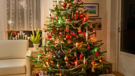 El Árbol de Navidad Hoy