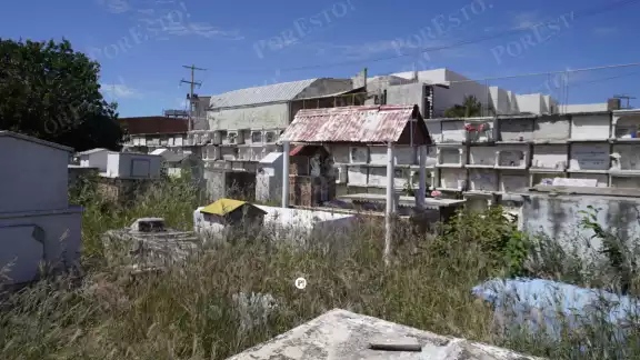 Lápidas destruidas y basura en camposantos; exigen limpieza urgente