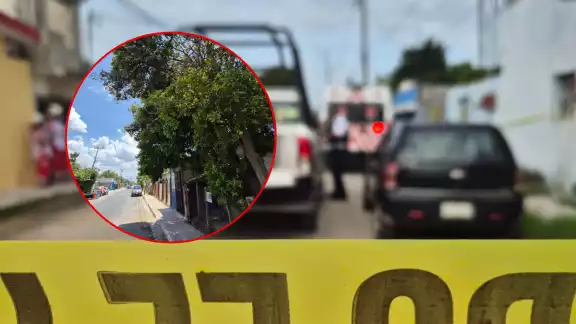 Hombre muere tras caer de un árbol en Santo Domingo Kesté, Champotón Hombre muere tras caer de un árbol en Santo Domingo Kesté, Champotón
