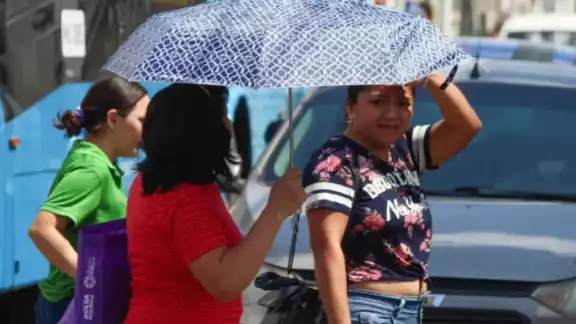 Alertan por golpes, piden reforzar cuidados