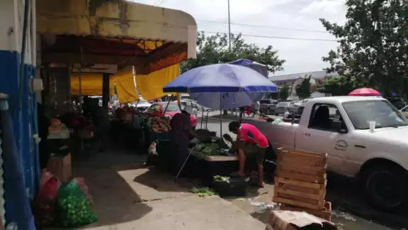 El robo hormiga provoca fuertes pérdidas económicas en los comercios semifijos del mercado Lázaro Cárdenas El robo hormiga provoca fuertes pérdidas económicas en los comercios semifijos del mercado Lázaro Cárdenas